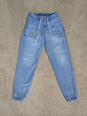 American Eagle Blue Cozy Next Level Stretch Jogger Jeans, Size 0